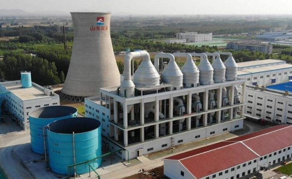 山东某某制盐有限公司